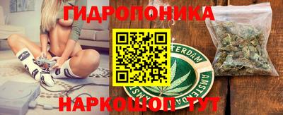 твердый Лесосибирск