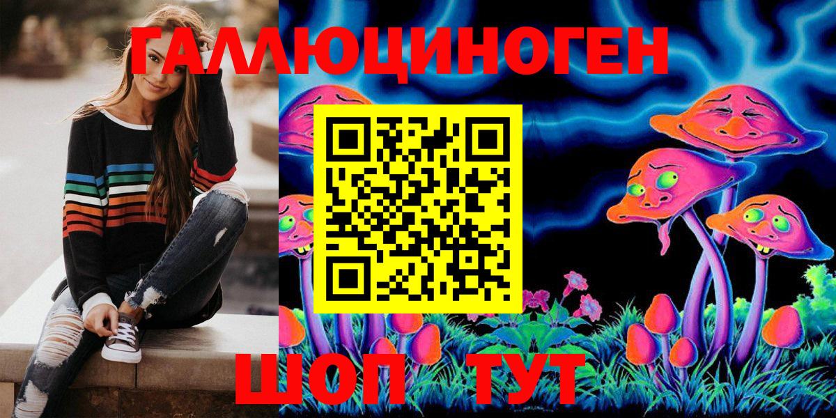 Ессентуки  Галлюциногенные грибы Psilocybine cubensis  Вход с VPN 